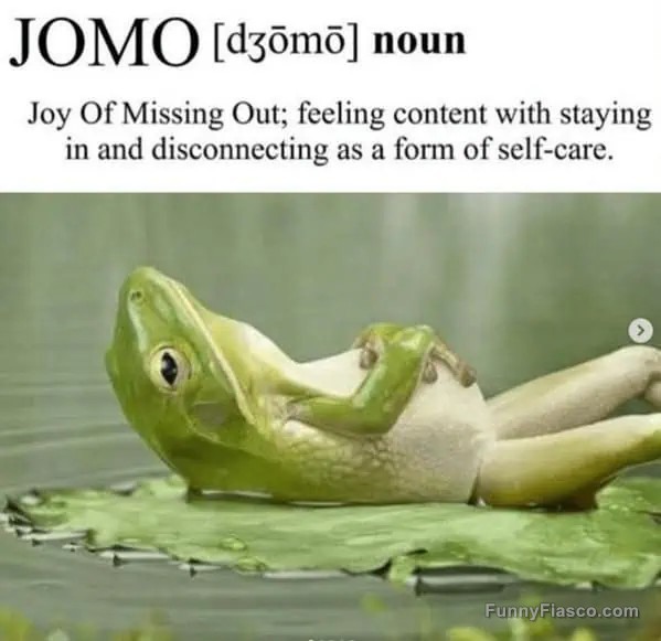 Frog lounging on a leaf embodying JOMO: Joy of Missing Out.