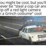 Grinch in police car flips off red light camera humor meme