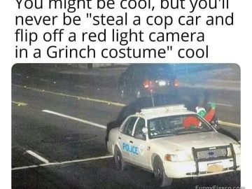Grinch in police car flips off red light camera humor meme