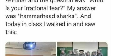 Classroom of students dressed in hammerhead shark costumes, surprising teacher.