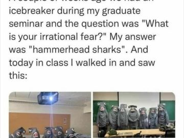Classroom of students dressed in hammerhead shark costumes, surprising teacher.