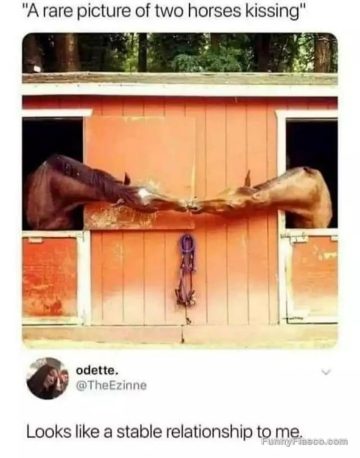 Two horses appearing to kiss over stable doors