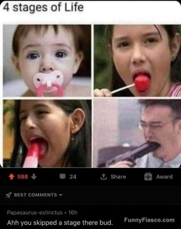 Four stages of life meme, humorous progression from baby to adult.