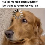 Golden retriever with loading symbol above head looking confused.