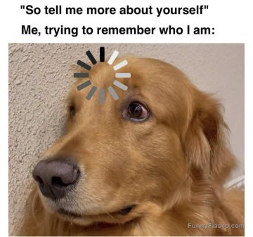 Golden retriever with loading symbol above head looking confused.
