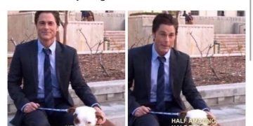Man sitting with a dog, stating it's half amazing, half terrific.