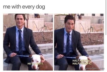 Man sitting with a dog, stating it's half amazing, half terrific.