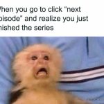 Monkey's shocked face realizing the TV series just ended.