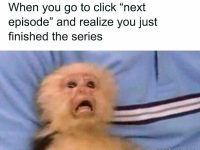 Monkey's shocked face realizing the TV series just ended.
