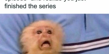 Monkey's shocked face realizing the TV series just ended.