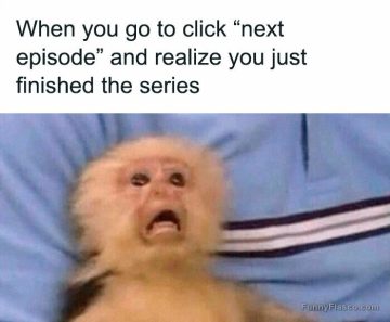 Monkey's shocked face realizing the TV series just ended.