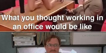 "Office expectations vs reality meme with humorous contrast"