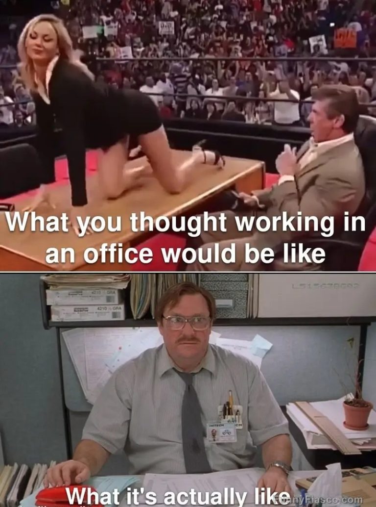 "Office expectations vs reality meme with humorous contrast"