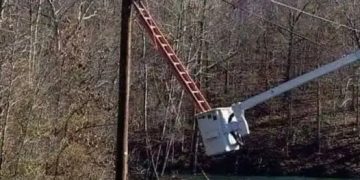 Worker precariously balances on a ladder and bucket truck combo.