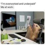Hamster in office chair on phone, feeling overworked and underpaid.