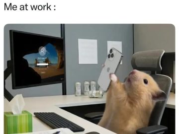 Hamster in office chair on phone, feeling overworked and underpaid.