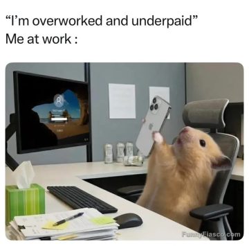 Hamster in office chair on phone, feeling overworked and underpaid.