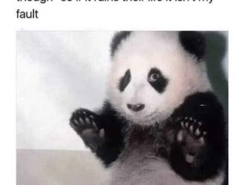 A panda raising its paws with text about giving advice ending in "IDK though."
