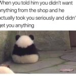 Fluffy panda facing away, reflecting shopper's regret with humor.