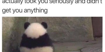 Fluffy panda facing away, reflecting shopper's regret with humor.