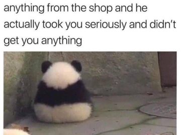 Fluffy panda facing away, reflecting shopper's regret with humor.