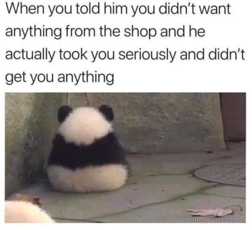 Fluffy panda facing away, reflecting shopper's regret with humor.