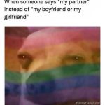 Dog face with rainbow flag overlay, reacting to "my partner."