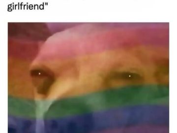 Dog face with rainbow flag overlay, reacting to "my partner."