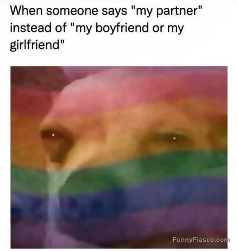 Dog face with rainbow flag overlay, reacting to "my partner."