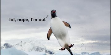 Penguin jumping out of the water with a surprised expression.