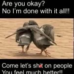 Two birds walking together expressing frustration and camaraderie.