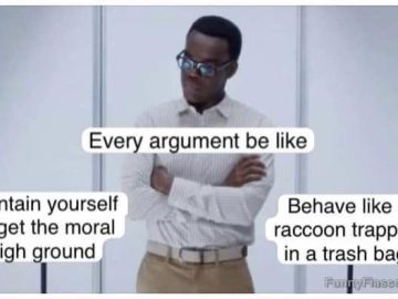 Meme depicting two choices in arguments: moral high ground or chaotic.
