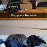 Roomba smeared dog poo across the carpet in a messy fail.