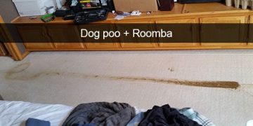 Roomba smeared dog poo across the carpet in a messy fail.