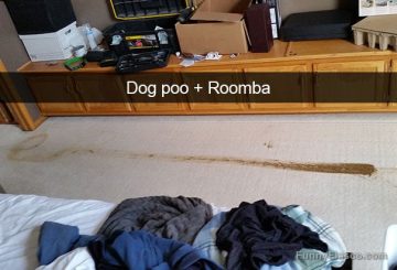 Roomba smeared dog poo across the carpet in a messy fail.