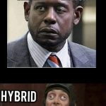 Comparing sativa, indica, and hybrid effects in a humorous meme