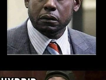 Comparing sativa, indica, and hybrid effects in a humorous meme