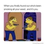 Cartoon character confronting their mirror image over missing weed.