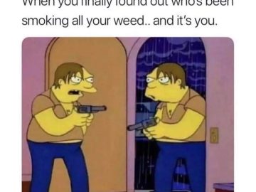 Cartoon character confronting their mirror image over missing weed.