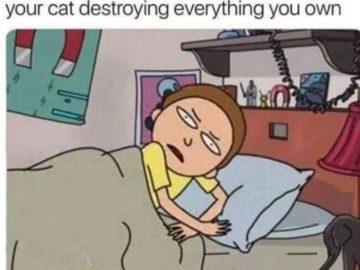 Cartoon character annoyed by cat chaos while trying to sleep.