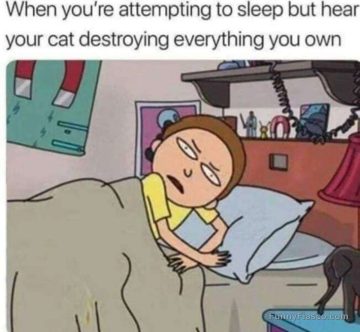 Cartoon character annoyed by cat chaos while trying to sleep.