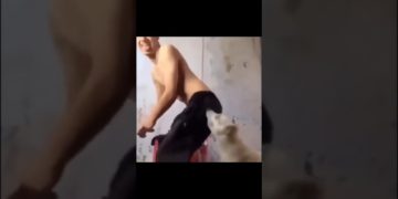 A man falls backward after a backyard basketball dunk attempt during a quick wipeout fails compilation.