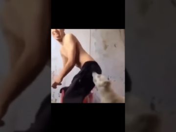 A man falls backward after a backyard basketball dunk attempt during a quick wipeout fails compilation.