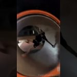 A person tumbles inside a playground spinning tube during a funny park fail.