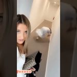 Funny YouTube Shorts moment with a quick unexpected reaction