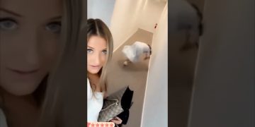 Funny YouTube Shorts moment with a quick unexpected reaction