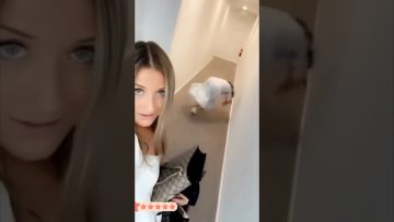 Funny YouTube Shorts moment with a quick unexpected reaction