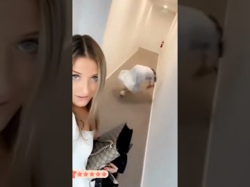 Funny YouTube Shorts moment with a quick unexpected reaction