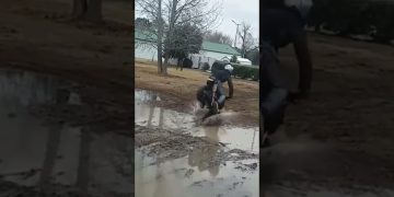 Mini bike rider losing control while attempting a muddy puddle stunt in a funny fail compilation.