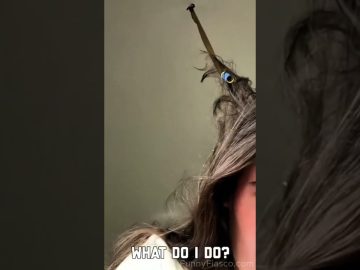 A funny fails compilation showing a bug tangled in freshly washed hair, a trampoline wipeout, a messy café bite, and a police cyclist falling off a bike.